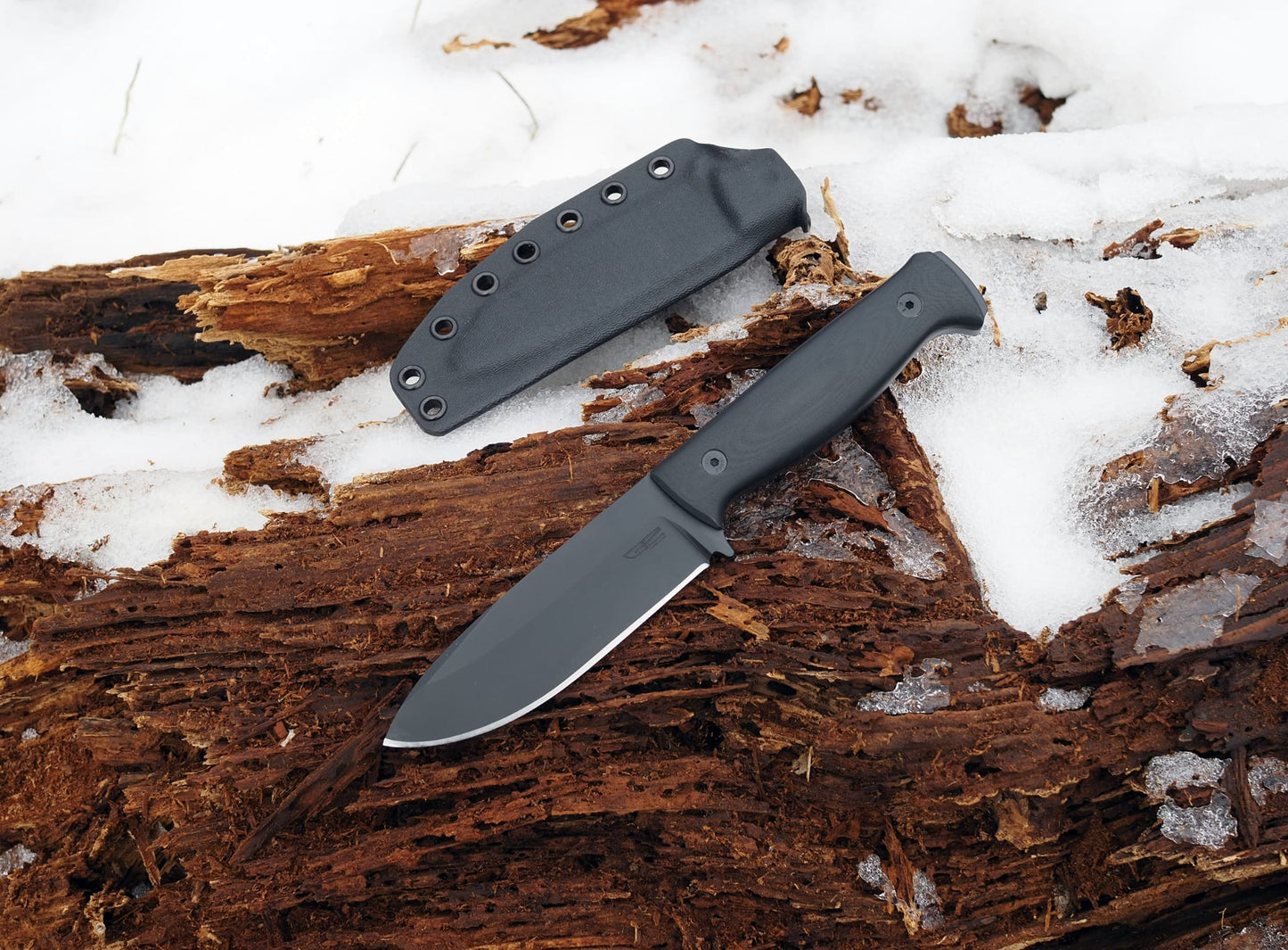BackCountry and BackCountry XL